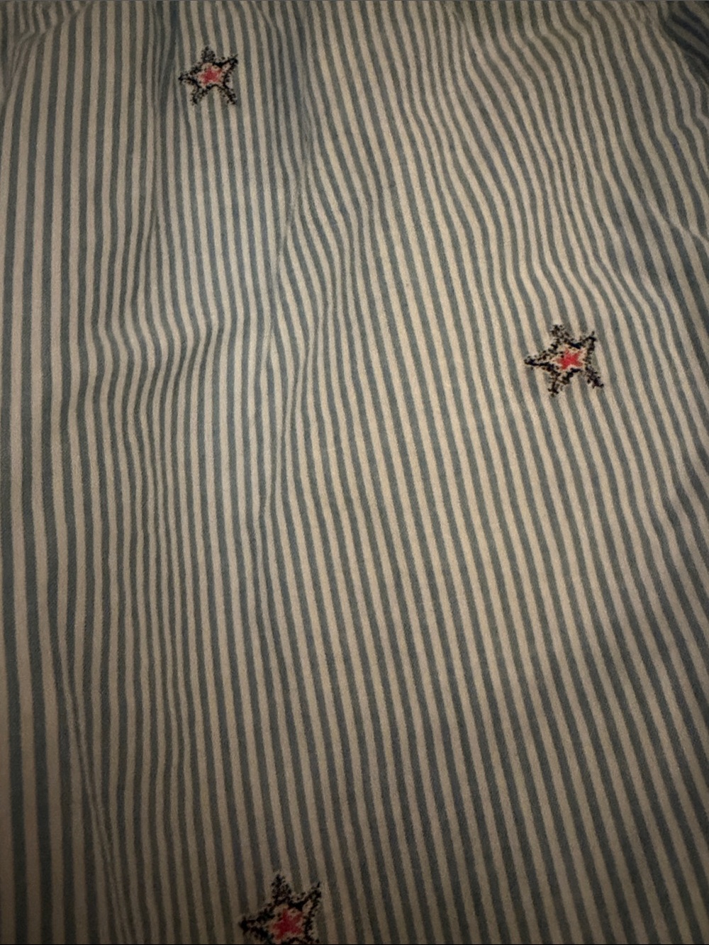 Lilly Pulitzer Blue and White Pinstripe Athletic Shorts with Red Star Embroidery - Picture 5 of 6
